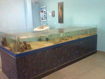 Aquários da Escola de Ciência-Biologia e História