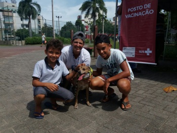 feira adoção animais