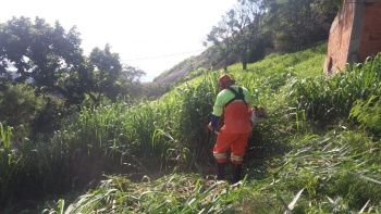 Limpeza_Da Penha