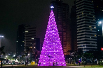 Árvore de Natal iluminada na Praça do Papa