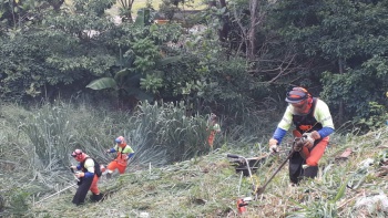 Roçagem de terrenos em Resistência