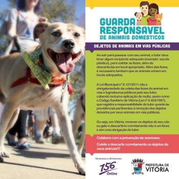 Guarda responsável de animais domésticos