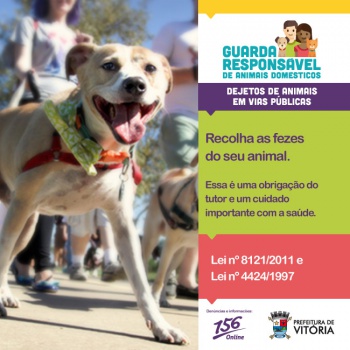 Guarda responsável de animais domésticos