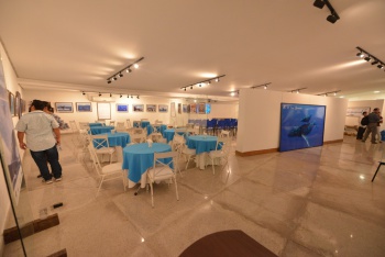 Instituto Baleia Jubarte