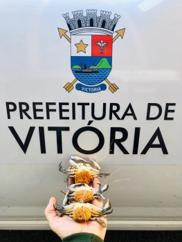 Pesca ilegal
