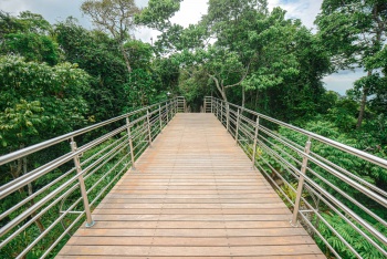 Parque da Fonte Grande - Mirante Sumaré