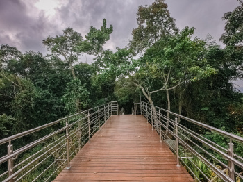 Parque da Fonte Grande - Trilha e Mata Atlântica