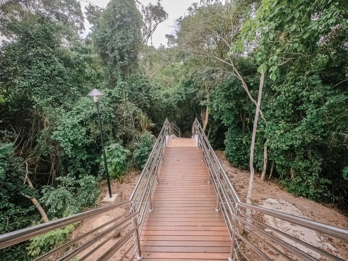 Parque da Fonte Grande - Trilha e Mata Atlântica