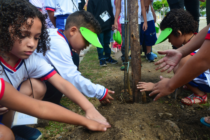 Dia da Mata Atlântica - Plantio de mudas na praça do papa