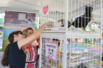 1º Evento SOS Pet Center de Adoção nos bairros de Vitória