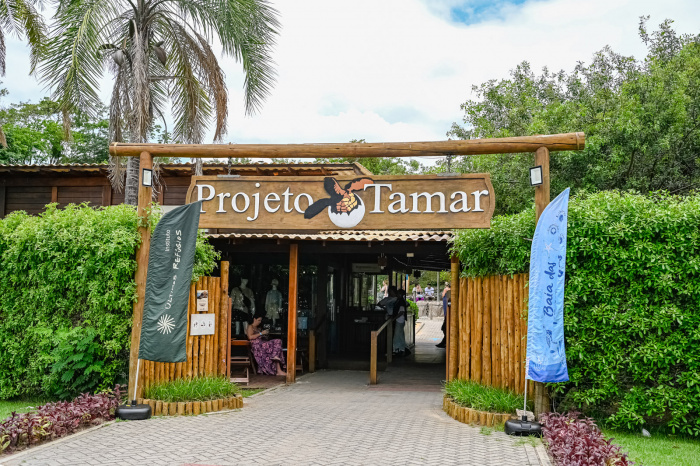 Projeto Tamar (Tartaruga Marinha)