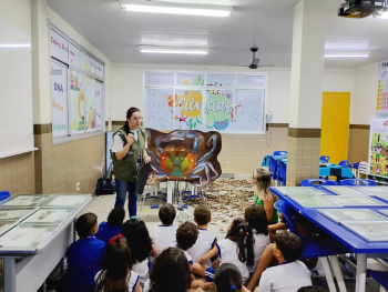 Alunos vivenciam o ecossistema do manguezal em Sala Sensorial inédita em Vitória