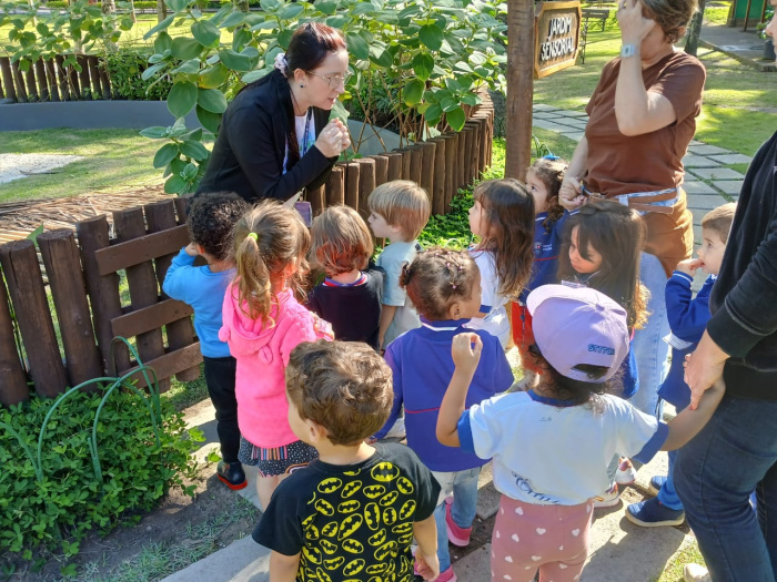 Educação ambiental na Mata Paludosa