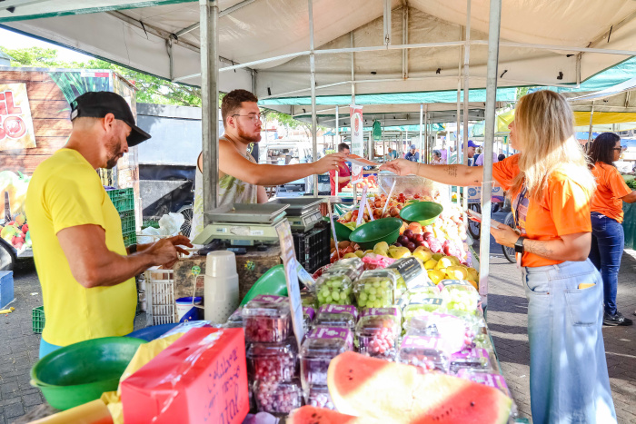 Campanha 16 dias ativismo fim violencia contra as mulheres feminicídio
