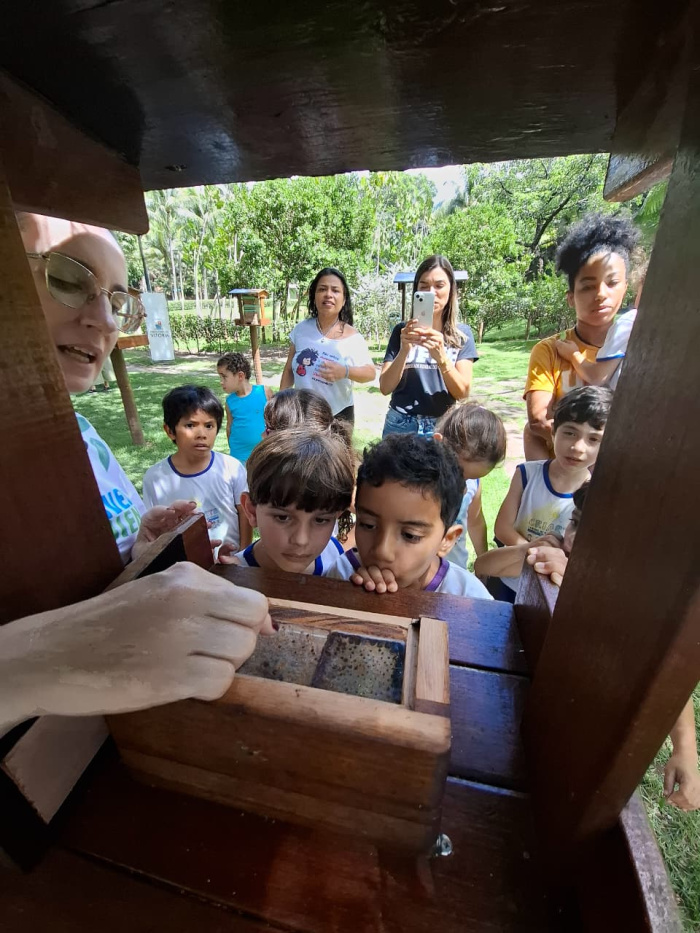 Um dia com as abelhas