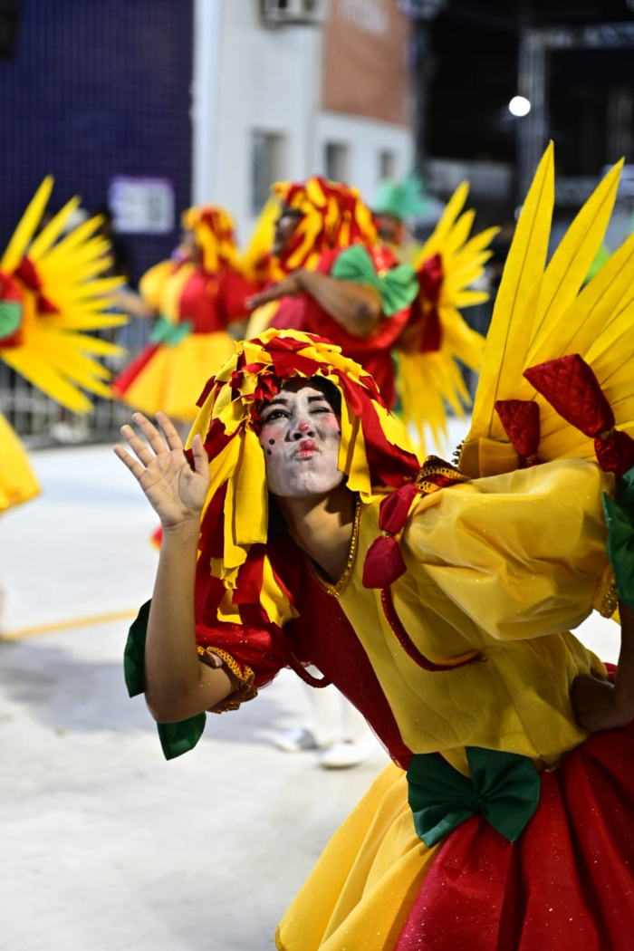 União Jovem de Itacibá leva a literatura brasileira para a avenida e transforma o desfile em viagem