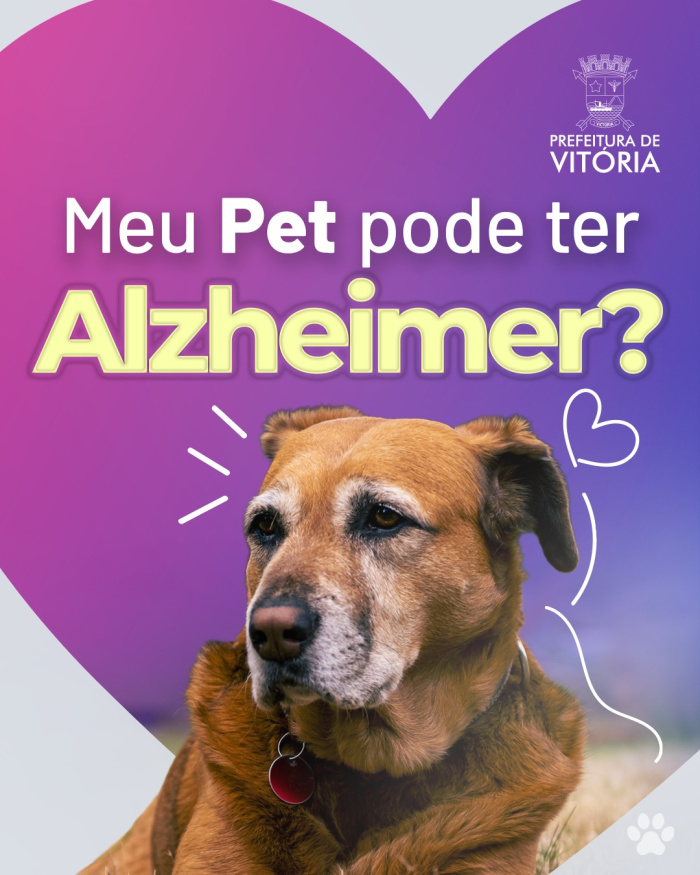 Campanha Meu Pet Pode Ter Alzheimer?