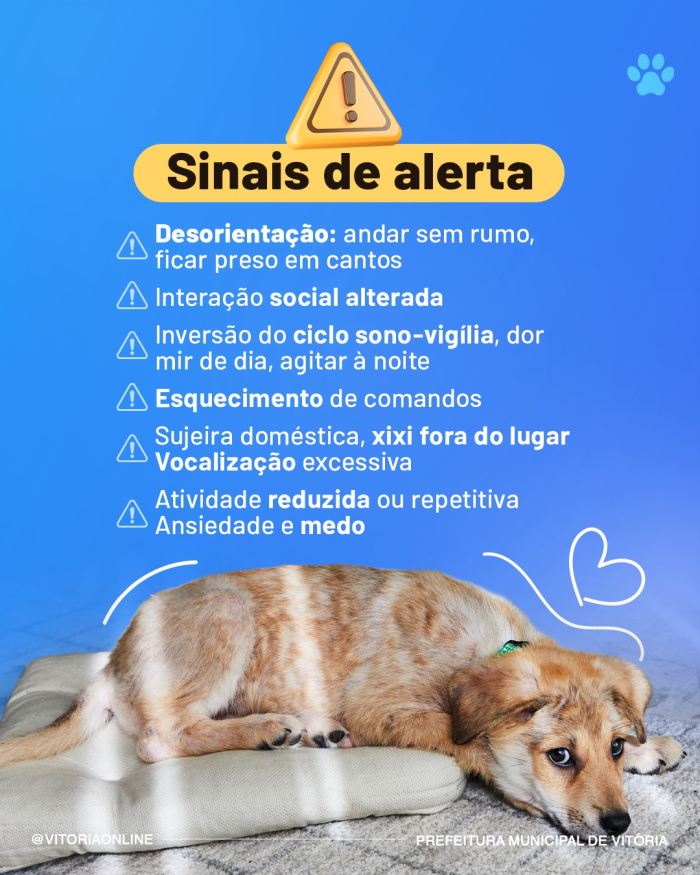 Campanha Meu Pet Pode Ter Alzheimer?