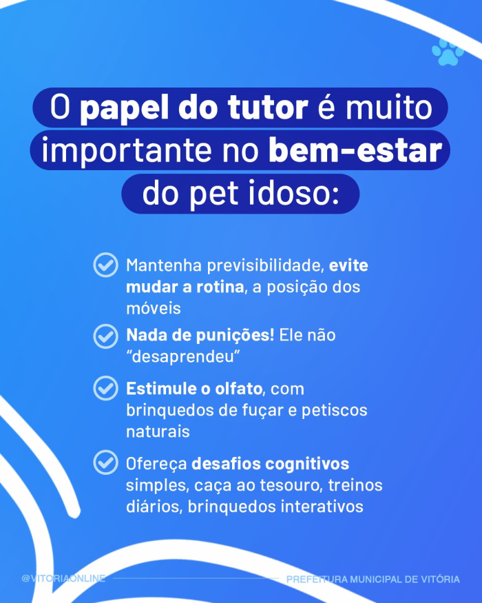 Campanha Meu Pet Pode Ter Alzheimer?