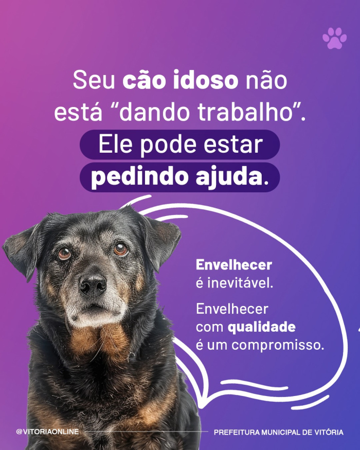 Campanha Meu Pet Pode Ter Alzheimer?