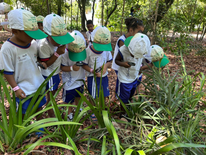 Centro de Educação Mata da Praia leva educação ambiental a escolas de Vitória